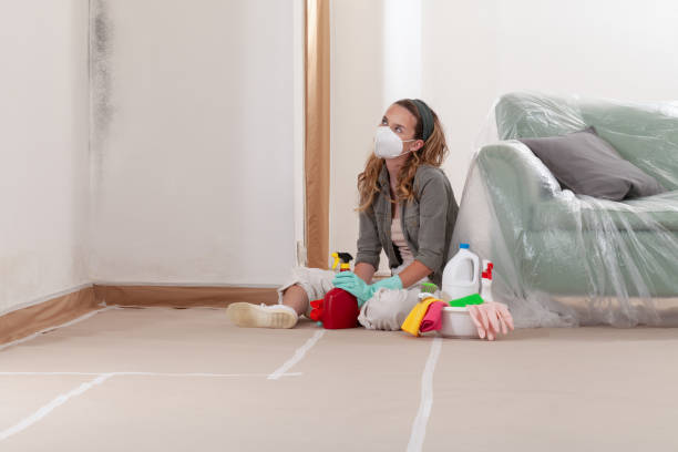 Reliable Mold Remediation contractor in Frisco, TX by Cheap Mold Removal